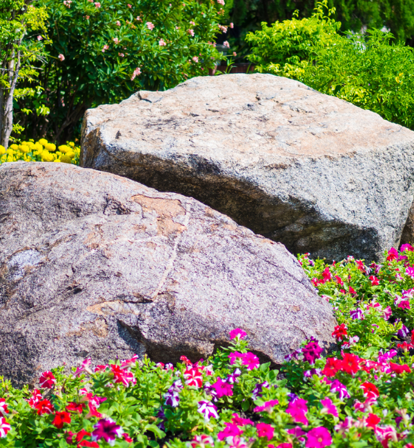 Use specialized boulders for a dramatic impact; add texture-based accents or intrigue