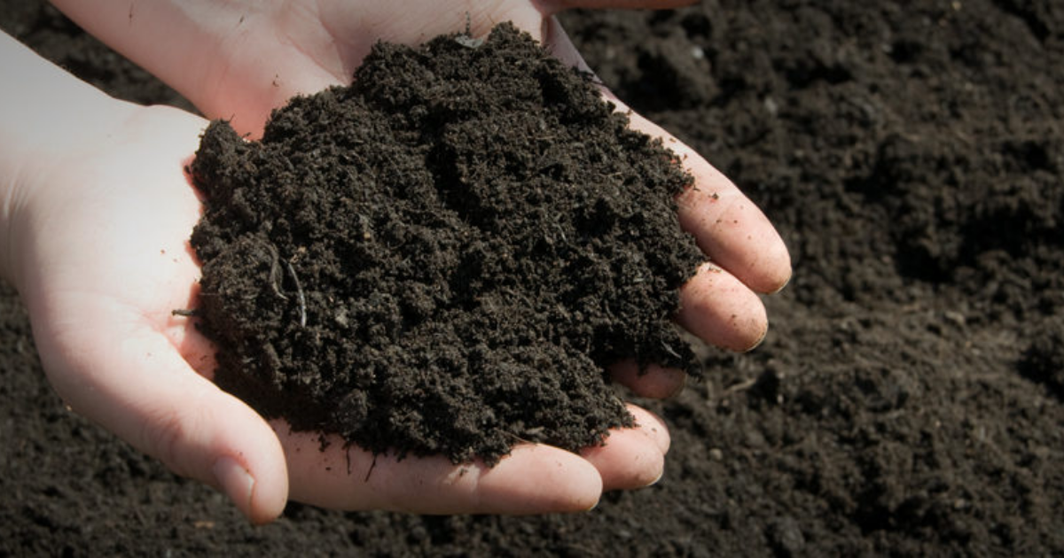 Pros and Cons of Topsoil 