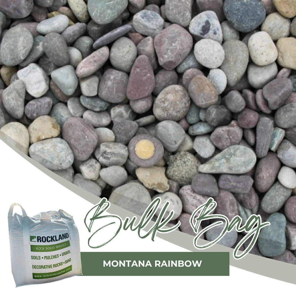 Montana rainbow