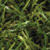 Tropical 40 EcoGrass Closeup