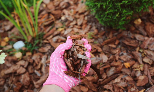 allaboutmulch.jpg.dcecdef4