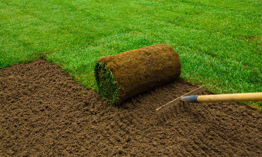howtoinstallsod.jpg.0938bad1